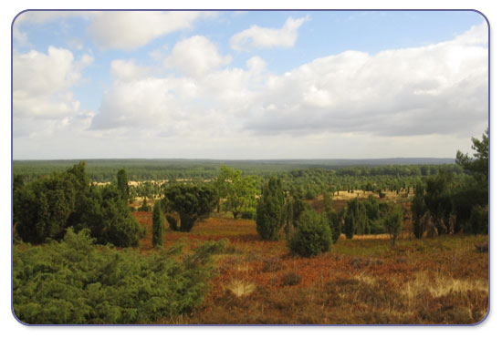 L�neburger Heide