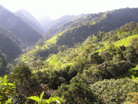 Andes Mountains