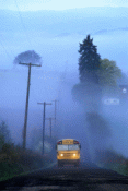 FOggy