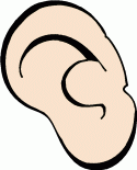 Ear