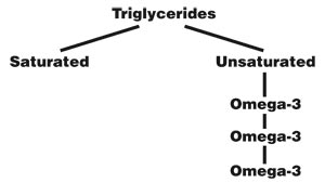 Triglycerides table