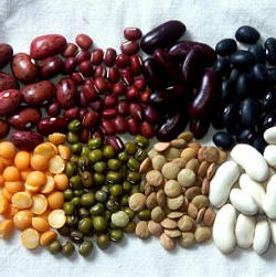 Image of various seeds