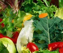 image of green leafy vegetables
