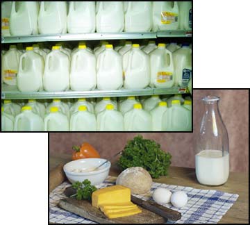 Image of whole milk carton.