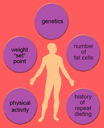 Image of human body with words surrounding the body.