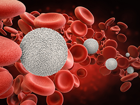 rendering of red and white blood cells traveling through the body