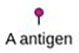 A antigen