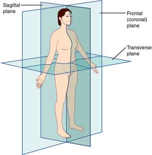 File:Planes of Body.jpg