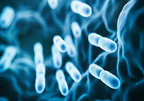 Picture of tuberculosis mycrobacterium
