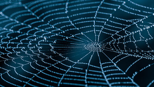 3.01 Networks