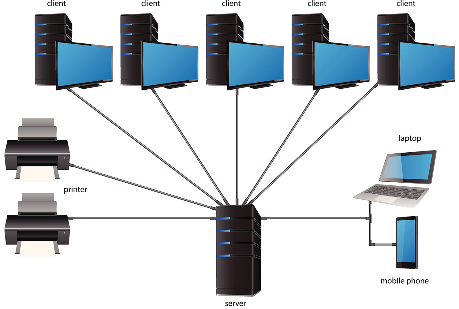 Shell Layout Network Plot 3.01 Networks