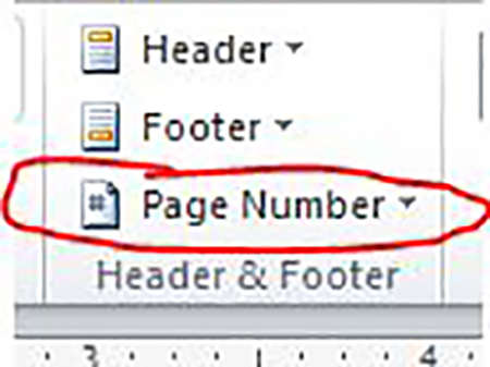 A red circle circles the page number button.