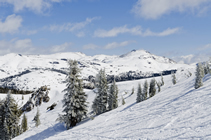 A snow-covered slope.