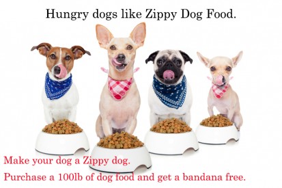 4 dogs with their dog food. The ad reads Hungry dogs like Zippy Dog Food. Make your dog a Zippy dog. Purchase a 100lb of dog food and get a bandana free.