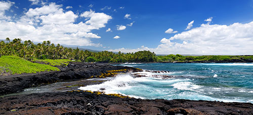 Hawaiian beach, trees, and ocean