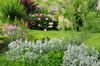 flower garden