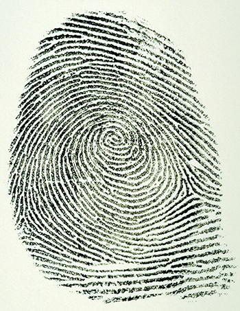 whorl pattern fingerprint