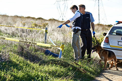 two police officers in a field in an area surrounded by crime scene tape. one officer is pointing to the victim's body and one officer is holding the leash of the police dog.