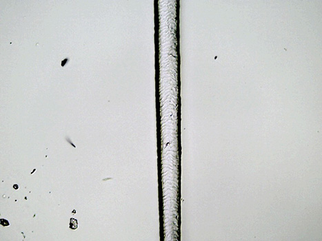 Sample C at 10x magnification. The scale pattern looks like repeating, squiggily arches.