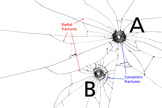 Two bulletholes in glass, with many cracks splitting away from them in several directions. The cracks heading directly away from the holes are labelled radial fractures. A few cracks are in a semi-circular arc around the holes. These are labelled concentric fractures. The upper bullet hole is labelled A. The lower bullet hole is labelled B.
