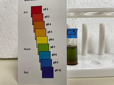 Crime Scene sample tube and pH test