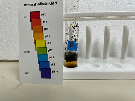 Sample tube F and pH test