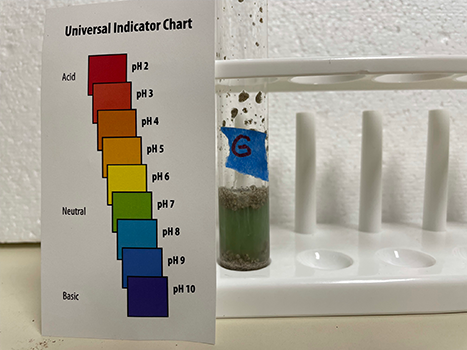 Sample tube G and pH test