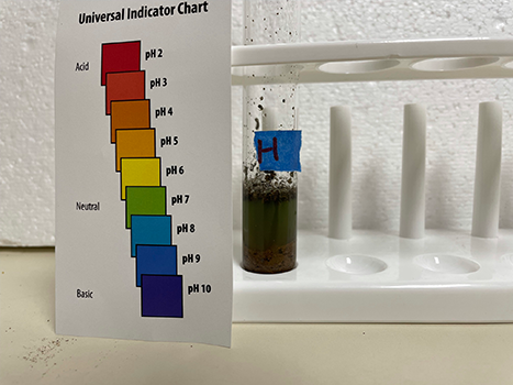 Sample tube H and pH test