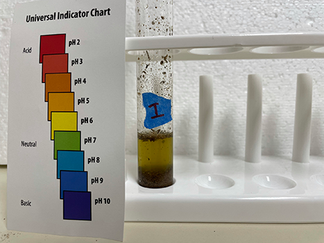 Sample tube I and pH test