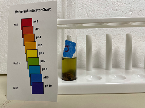 Sample tube J and pH test