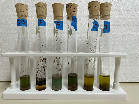 a series of vials labelled Crime Scene on the left and F through J going left to right.