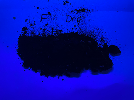 Soil under UV light labelled F - Dry