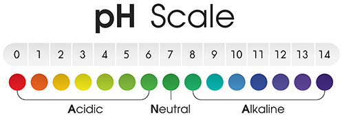 ph scale from 0 to 6 on the acidic end, 7 in the middle as neutral, and 8 to 14 on the basic or alkaline end