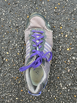 top down view of e. Gray ladies tennis shoe with purple and gray stripes on the side of shoe and purple shoe laces.