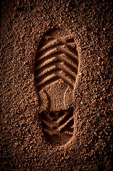 A shoe print on dirt.