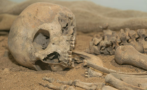 half buried skeleton with teeth still in tact