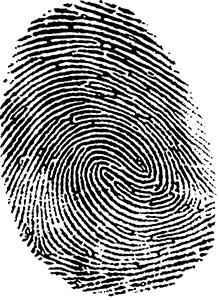 fingerprint with two circular ridgelines
