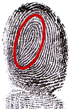 middle finger thumbprint that contains a loop entering and exiting towards the pinky