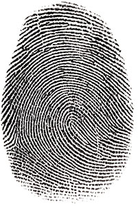 Fingerprint with ridge lines that enter and exit from the thumb
