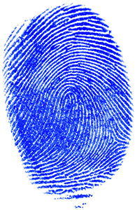 Fingerprint with ridge lines that enter and exit from the pinky finger