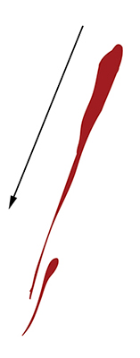 A blood drop with a long tail, showing that it hit the surface at an angle.