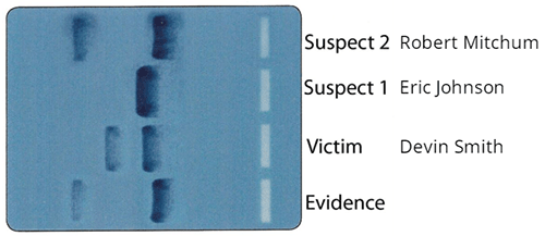 DNA samples with suspect 2 (Robert Mitchum), Suspect 1 (Eric Johnson) Victim (Devin Smith) and the DNA evidence