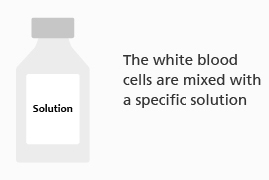 A bottle of solution. Text reads: 'The white blood cells are mixed with a specific solution.'