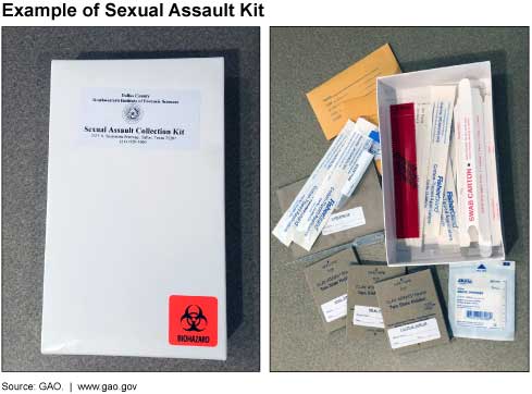 An example of a Sexual Assault Kit. The kit is a box containing envelopes for evidence, swabs, and labels.