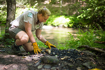 forest service worker looking at a river rock