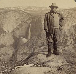 Teddy Roosevelt