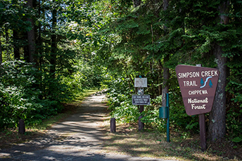 national forest trail and trail sign