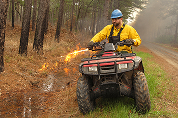 prescribed burn