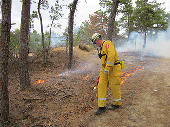 controlled burn