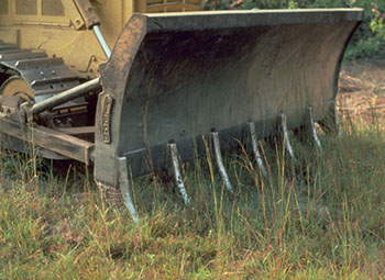 Tree Clearing Root Rakes 3.06 Reforestation: Planning